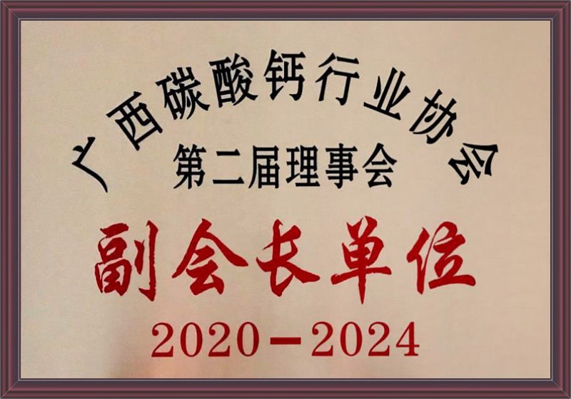 廣西碳酸(suān)鈣行業協會副(fù)會長單位
